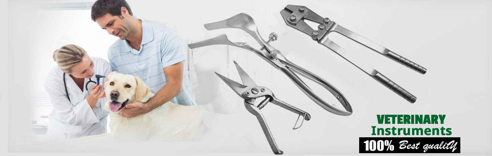 Veterinary Instruments - TAMS Srugical Instruments